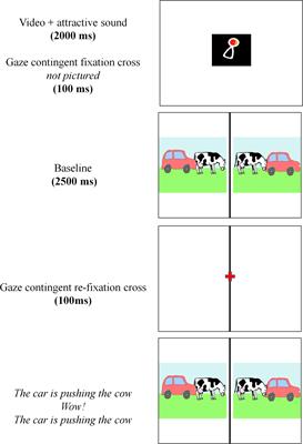 Production Before Comprehension in the Emergence of Transitive Constructions in Dutch Child Language